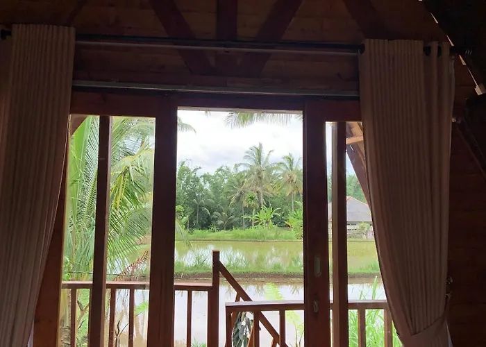 Tetebatu Rice Field Bliss