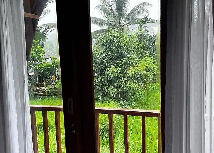 Tetebatu Rice Field Bliss